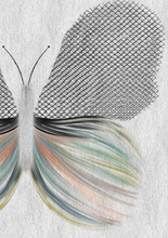 Load image into Gallery viewer, Butterfly