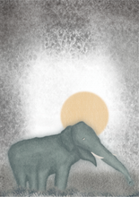 Load image into Gallery viewer, Daydreamer