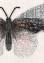 Load image into Gallery viewer, Happiness does not wait