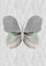 Load image into Gallery viewer, Butterfly