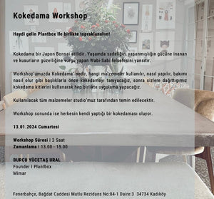 Kokedama Workshop