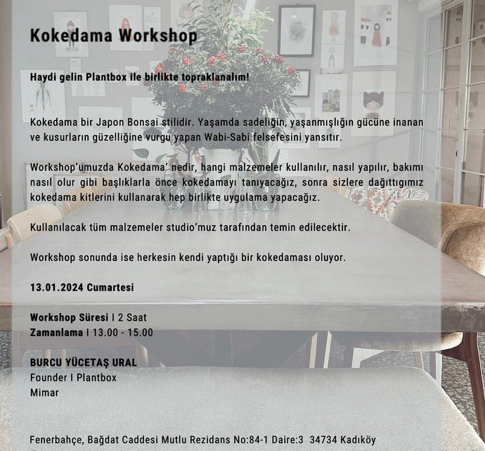 Kokedama Workshop